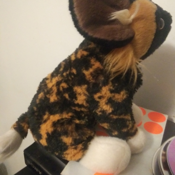 Stuff anamal - Picture 4 of 4